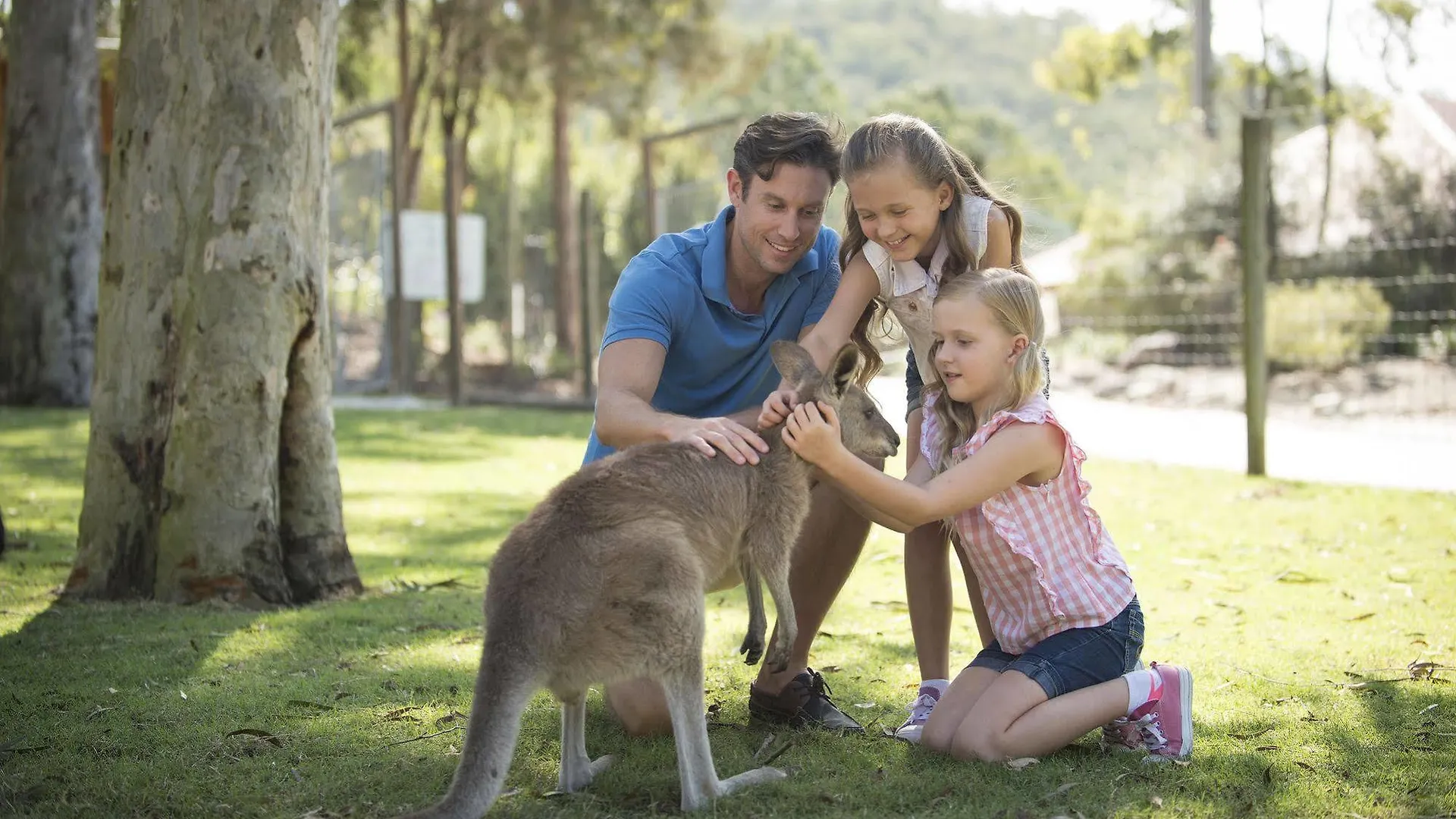 Paradise Country Farmstay Gold Coast