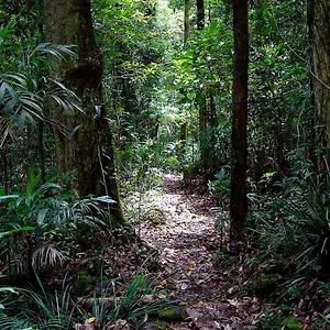 Lodge Lyrebird Retreat, Springbrook