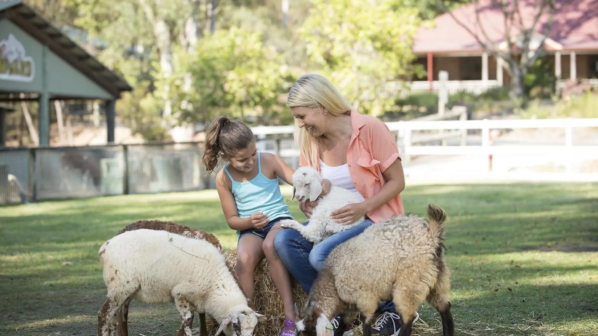 *** Luksusowy namiot Paradise Country Farmstay Gold Coast Australia