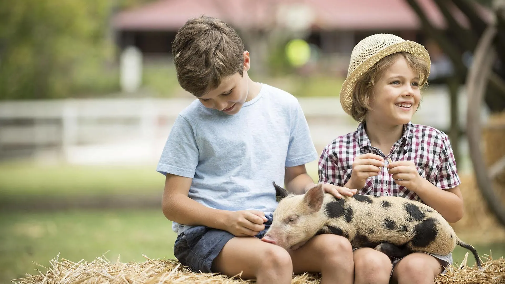 Paradise Country Farmstay Gold Coast