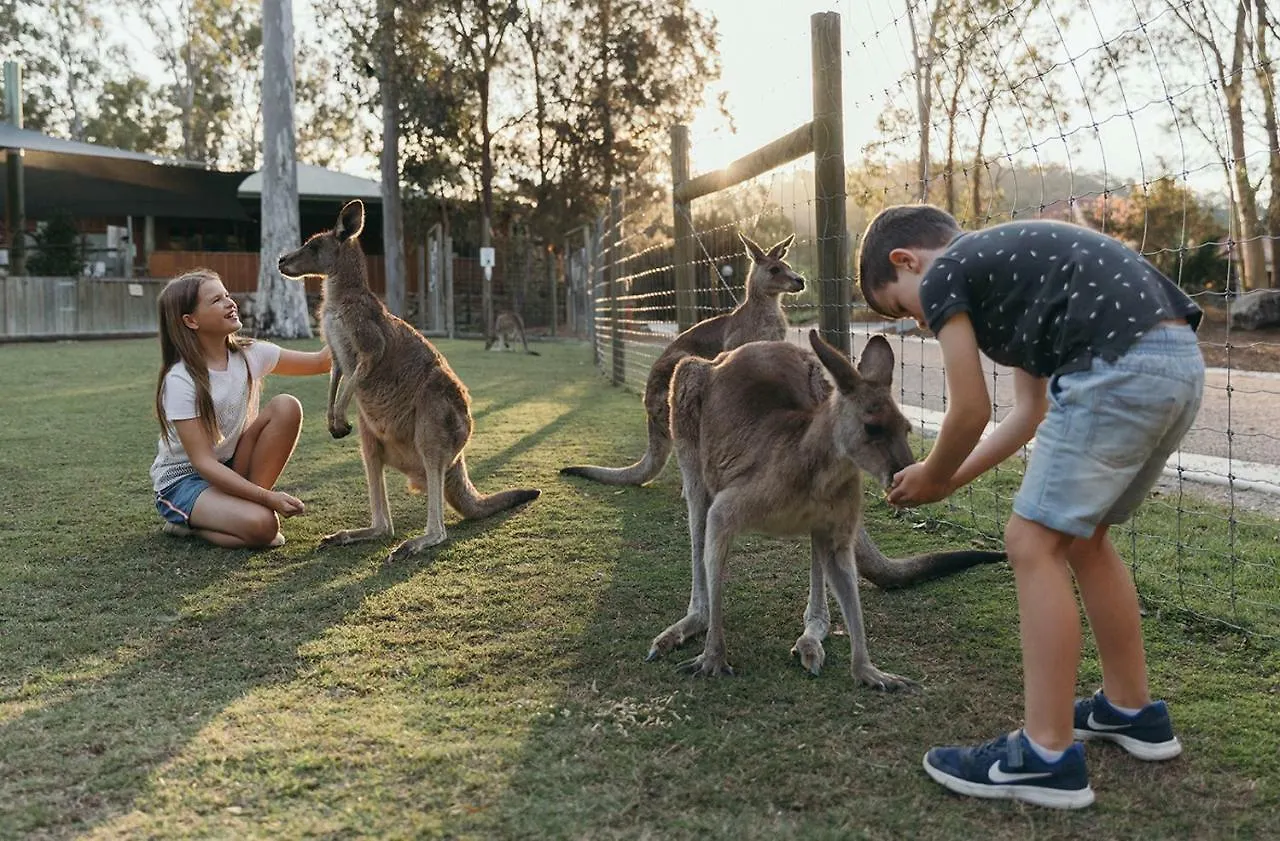 Paradise Country Farmstay Gold Coast Luksusowy namiot